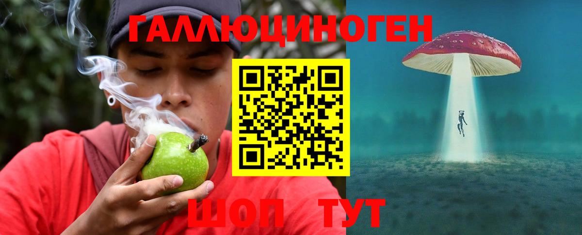 Галлюциногенные грибы Psilocybine cubensis  Вход с VPN  Псилоцибиновые грибы мицелий  Орск 